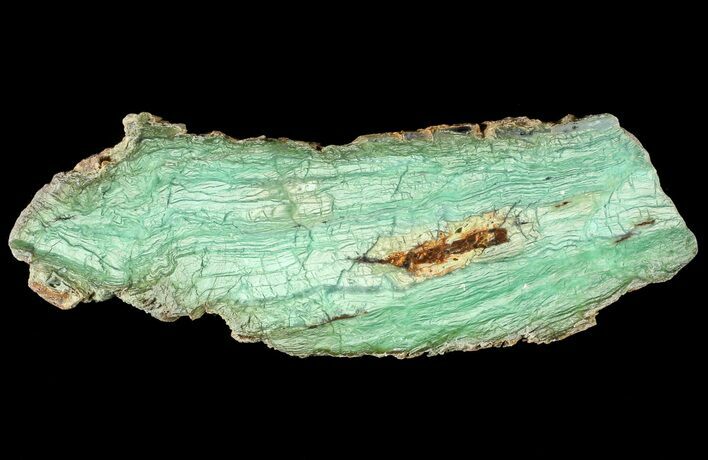 Polished Green Chrysoprase Slab - Western Australia #63339